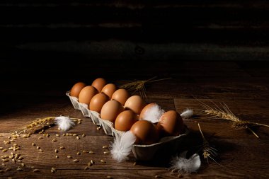 Bir düzine taze organik kahverengi yumurta dağınık tüy ve buğday ile yan ışık ve kopyalama alanı ile dokulu arka plan karşı karşıya.