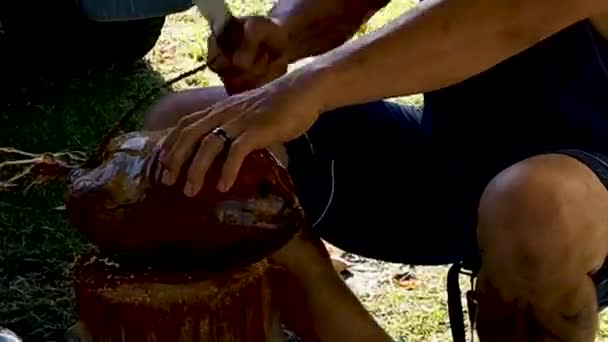 クイーンズランド北部の熱帯市場でココナッツの水を飲むためにわらを挿入しすぎる準備ができてココナッツをフック男 — ストック動画