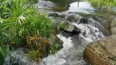 Suyun kanalların altından aktığı tropik bir dere..