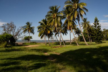 Avustralya, Queensland yakınlarındaki Louisa Creek sahilinde Hindistan cevizi palmiyeleri. Arka planda Hay Point rıhtımları var..