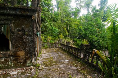 Paronella Park, Queensland, Avustralya - Ocak 2016; Paronella Park, Kuzey Queensland tropikal yağmur ormanlarında bir kale.                                