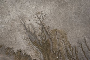 Avustralya, Queensland 'ın kuzeyindeki bir sahilden gelgit çekildikten sonra kumda kalan garip desenler..