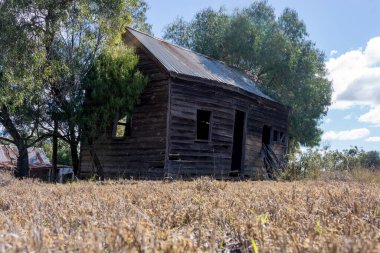 Queensland 'in dışında terk edilmiş eski işçi kulübesi. Hava tahtasından ya da panodan yapılmış..