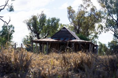 Queensland 'in dışında terk edilmiş eski işçi kulübesi. Hava tahtasından ya da eğri büğrü demir çatılı bir panodan yapılmış..