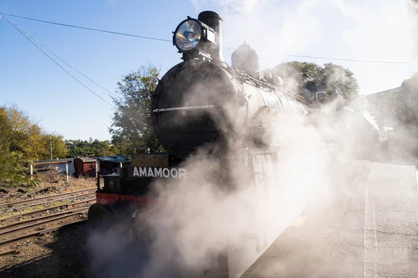 Mary Valley Çıngıraklı Yılan buharlı treni sabah erken saatlerde Queensland Gympie 'de motoru buharla çevrili yolcuları bekliyor..