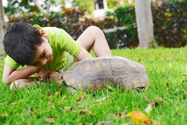 Latin çocuk parkta büyük bir kaplumbağayla oynuyor..