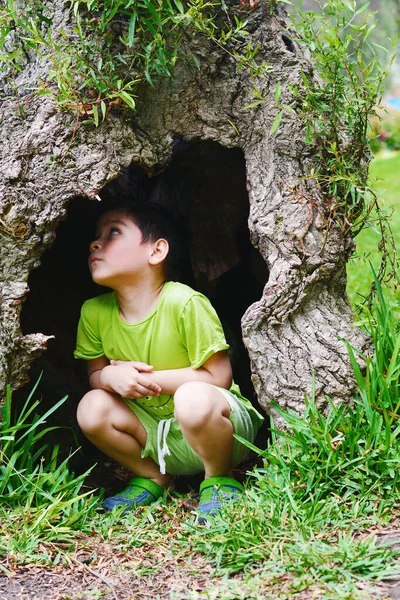 Küçük çocuk ağaçta bir delik buluyor..