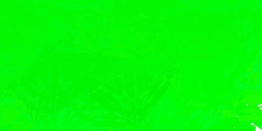 Açık yeşil vektör arkaplanı, üçgenler, çizgiler. Renkli üçgenler aralığıyla soyut bir illüstrasyon. Insperarion için tasarımı başlat.