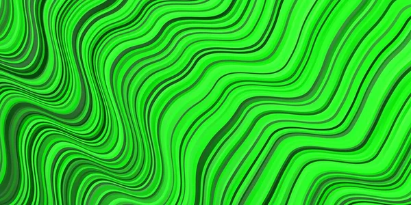 Hellgrünes Vektormuster Mit Linien Bunte Geometrische Probe Mit Gradientenkurven Bestes — Stockvektor