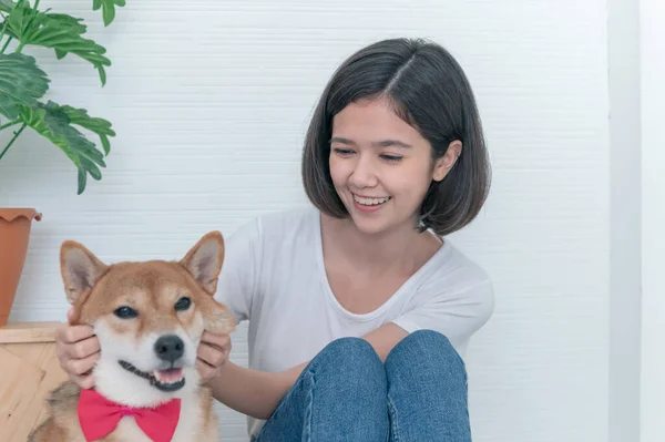 Laughing jocund young asian woman sitting on the floor playing with her Shiba Inu Japanese dog, Cheerful and nice couple with people and pet, Cheerful and nice couple with people and pet. Pet Lover concept