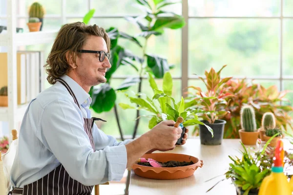 Retrato Jardineiro Feliz Homem Sênior Usando Óculos Cuidando Pequena Árvore — Fotografia de Stock