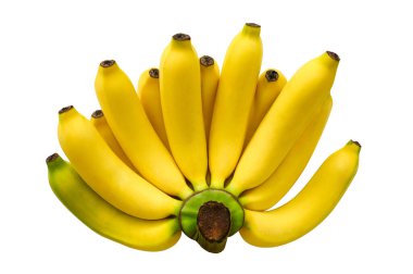 Beyaz arkaplanda kırpma yolu ile izole edilmiş taze muz demeti