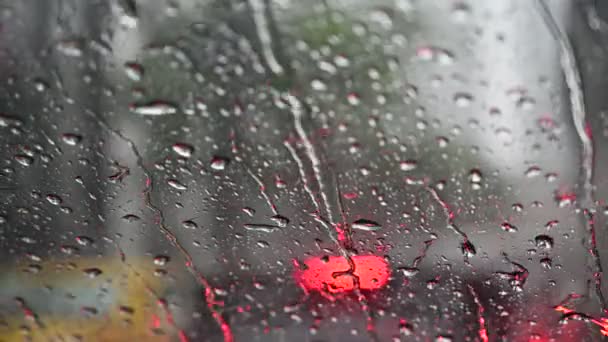 Las Gotas Lluvia Caen Sobre Parabrisas Del Coche Desde Dentro — Vídeos de Stock