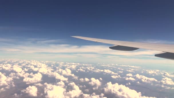 Πτήση Αεροπλάνου Πτέρυγα Του Αεροπλάνου Που Πετάει Πάνω Από Σύννεφα — Αρχείο Βίντεο