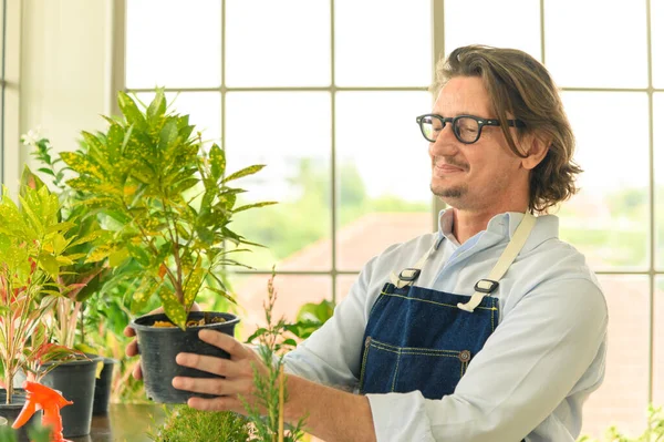 Retrato Jardineiro Feliz Homem Sênior Usando Óculos Cuidando Pequena Árvore — Fotografia de Stock