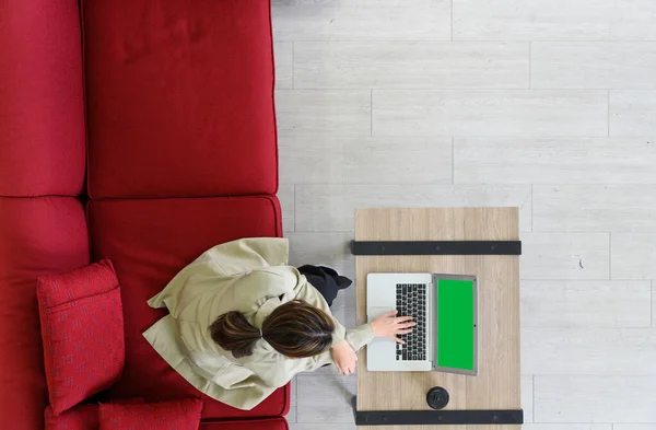 Top view of manager woman working at mock up green screen chroma key laptop with isolated display. businesswoman sits on red cozy sofa working with laptop on wooden table