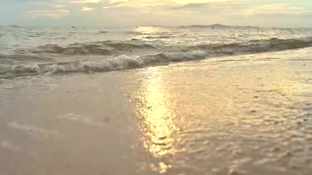 Close Soft Wave Water Sandy Beach Seaside Sunset Summer Vacation — ストック動画