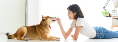Banner cover design. Jocund young Asian woman lying on floor playing with Shiba Inu, Japanese dog. Cheerful and nice couple with people and pet. Pet Lover concept