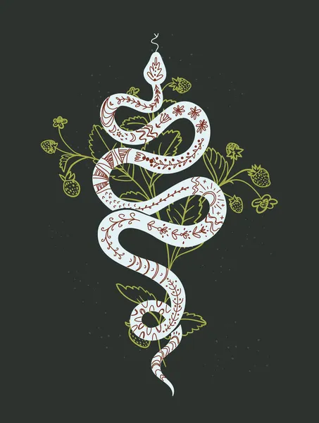 ヘビやイチゴの植物と神秘的な黒のプリント,ベクトルイラスト. — ストックベクタ