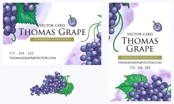 Modelos de cartões de visita conjunto, estilo de identidade botânica. Moldura decorativa com cachos de uva e folhas. —  Vetores de Stock