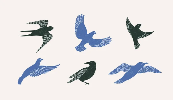 Minimalismus Stil Satz von verschiedenen fliegenden Vögeln. Einfache Sammlung von Symbolen naiver Vögel, Design-Vorlage für Logoelemente. — Stockvektor