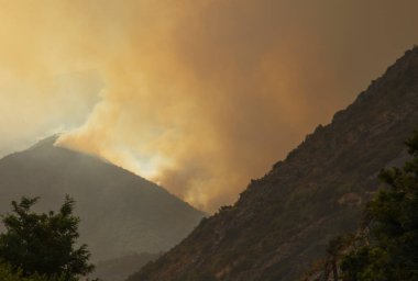 forest fire on a mountain