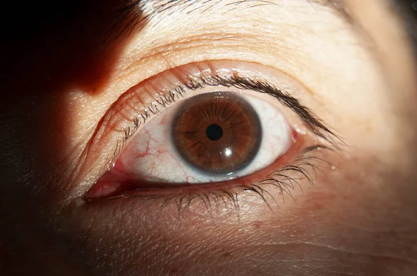 macro view of boxed eye with blue rim