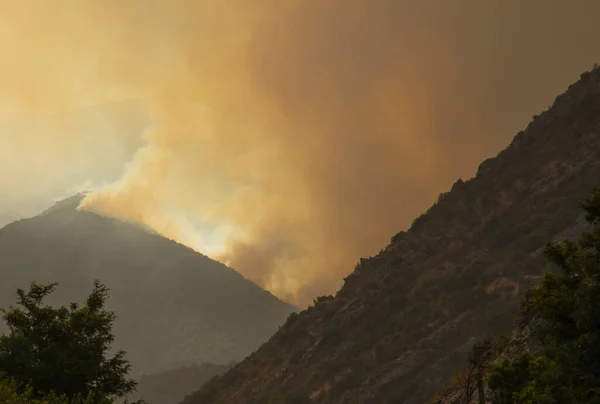 forest fire on a mountain