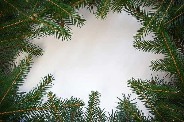 Composición creativa con ramas de abeto verde sobre un fondo blanco. Fondo navideño en estilo retro. Naturaleza concepto de Año Nuevo. — Foto de Stock