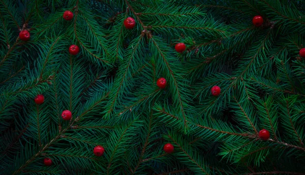 Ramas de árboles de Navidad. Fondo natural verde. Fondo de Navidad. — Foto de Stock