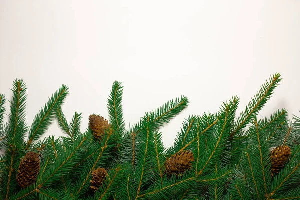 Año Nuevo creativo frontera de ramas de árboles de Navidad. Lugar para el texto. Fondo navideño en estilo retro. Tarjeta de Año Nuevo y Navidad. — Foto de Stock