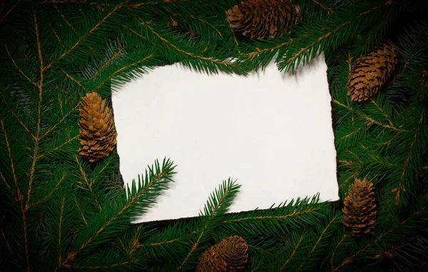 Composición creativa con ramas de abeto verde y una tarjeta blanca. Fondo navideño en estilo retro. Tarjeta de Año Nuevo y Navidad. Naturaleza concepto de año nuevo. Copiar espacio. — Foto de Stock