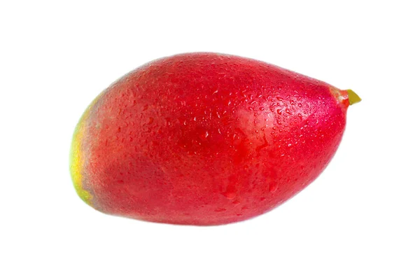 Mango geïsoleerd op een witte achtergrond. Rijpe tropische vruchten. — Stockfoto