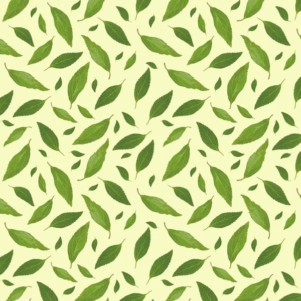 Seamless Pattern Green Leaves Yellow Background Natural Ornament — Stock Fotó