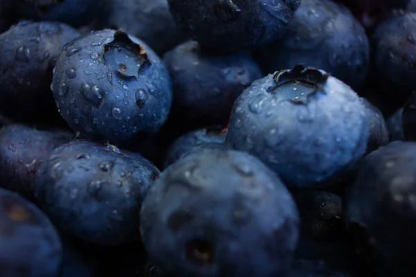 Macro Shot Blueberry Water Drops Berry Background — Fotografia de Stock