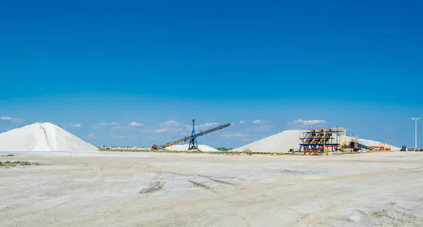 Aigues-Mortes 'in tuzlu bataklıkları, Camargue' de, Fransa 'daki Gard bölümünde..
