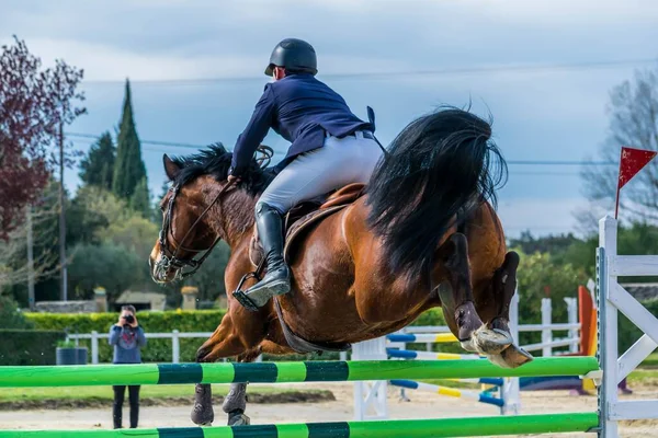 Équitation Saut Obstacles Compétition Images De Stock Libres De Droits