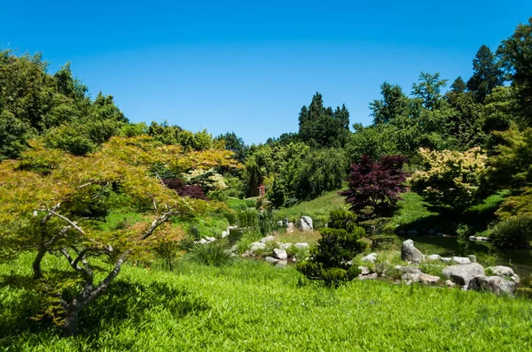 庭のアンドゥーズの竹林にある壮大な日本庭園 — ストック写真