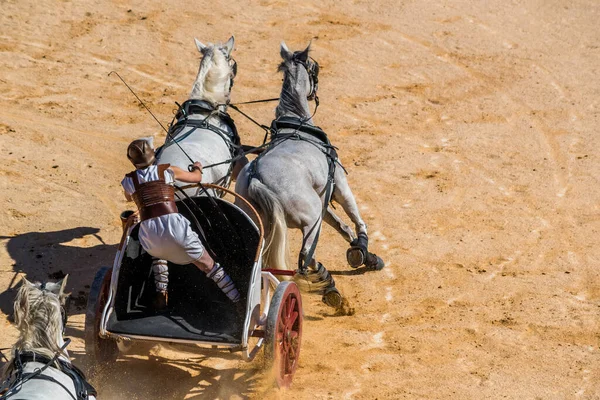 Reconstructie Arena Van Een Romeins Wagenras — Stockfoto