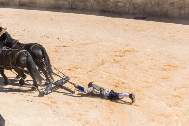 Reconstruction of a Roman chariot race
