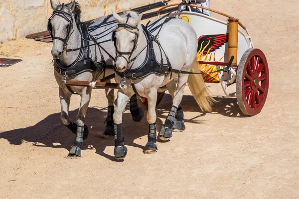 Reconstruction Roman Chariot Race — Stockfoto