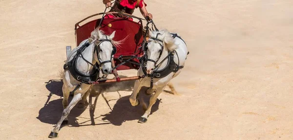 Reconstruction Roman Chariot Race — Stockfoto