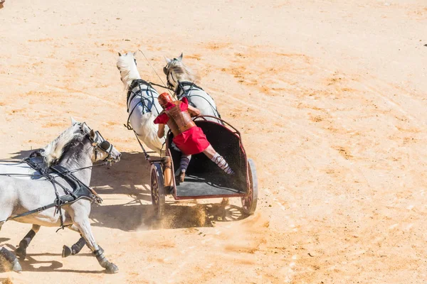 Reconstruction of a Roman chariot race