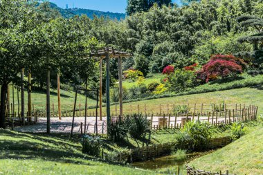 Japanese garden in the middle of the bamboo grove of Anduze, Cevennes.