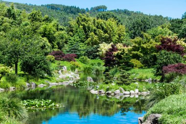Japanese garden in the middle of the bamboo grove of Anduze, Cevennes. clipart