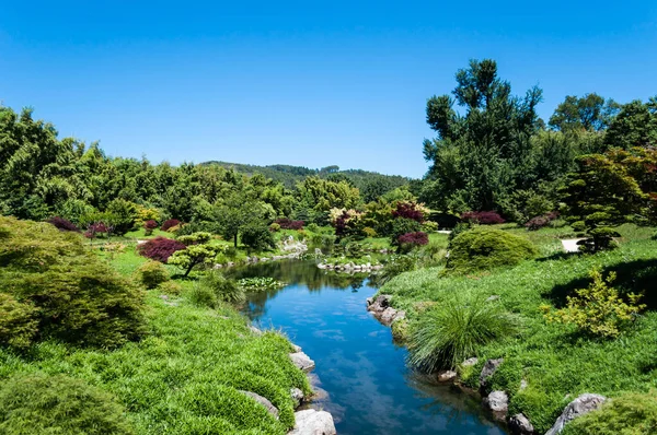 Japanese Garden Middle Bamboo Grove Anduze Cevennes — Stockfoto