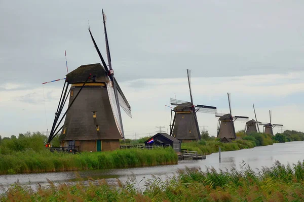 Berühmte Niederländische Windmühlen Unesco Weltkulturerbe Auf Dem Foto Sind Fünf — Stockfoto