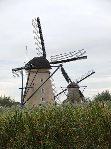 Две Голландские Ветряные Мельницы 1740 Года Тростником Спереди Киндердейке Всемирное — стоковое фото