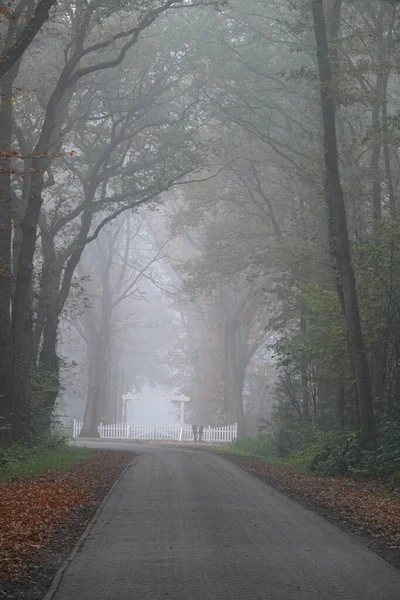 Foggy Road Forest End White Fence Autumn Location Wilsum Lower — Stock Photo, Image