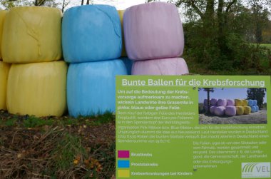 Wilsum, Almanya - 6 Kasım 2021 Saman balyaları renkli plastikler. Tabelada belirtildiği gibi, çiftçi kanser araştırmalarına bağış yapıyor. Göğüs kanseri için pembe, prostat kanseri için mavi ve çocuk kanseri için sarı..